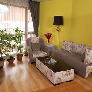Apartament z 1 sypialnią